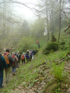 Hikers-back-view-in-fog