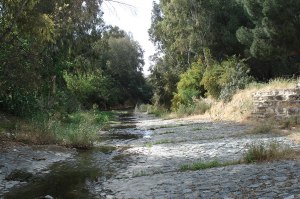 Pedieos-river-trail-Nicosia