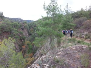 Mahairas-Pedieos-Gorge1