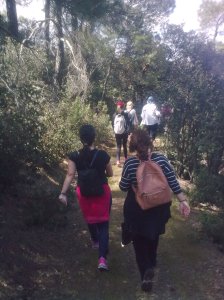 Mahairas-south-slopes1