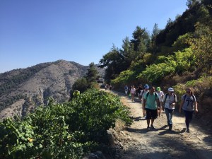 Front-view-among-vines