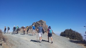 Madari-Teisia-rear-lighter