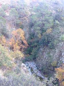 Pedieos-gorge