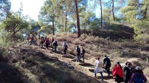 15-12-06-CY-Stroll-AdelphiForest-Asinou017