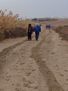 through the muddy soil