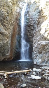 16-02-27-Myllomeris018