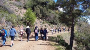 rear-Mahairas-SouthSlopes