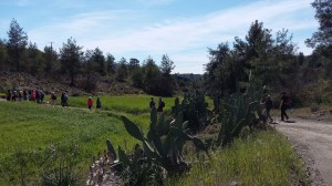 rear1-16-03-06-Delikipos