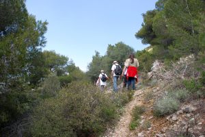 Hikers-back-view-countryside
