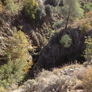 pedieos-gorge