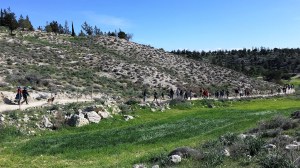 side-view-line-strollers